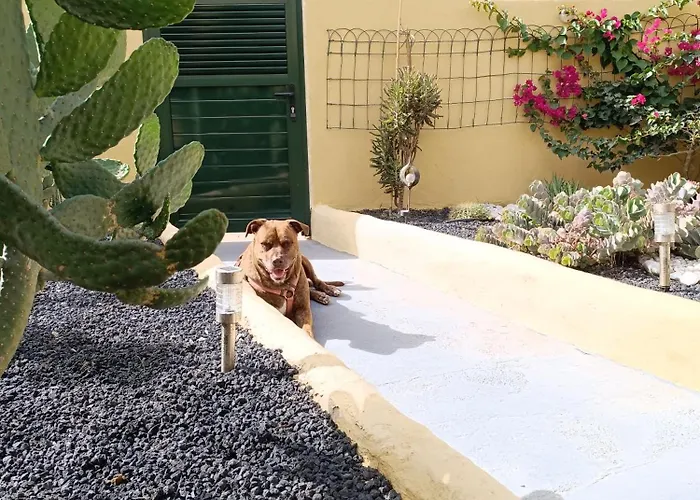 Apartament El Caseto *